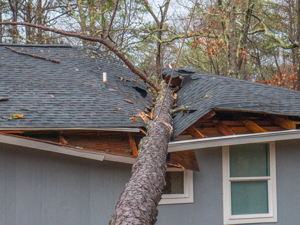 Tree fell on house image Wind Damage restoration page